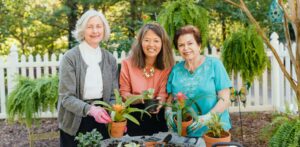 Lewy Body Dementia, Parkinson’s & Alzheimer’s: Similarities and Differences