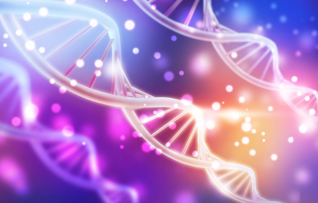 double helix